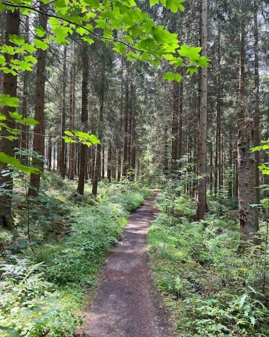 Waldblick Apartamento *