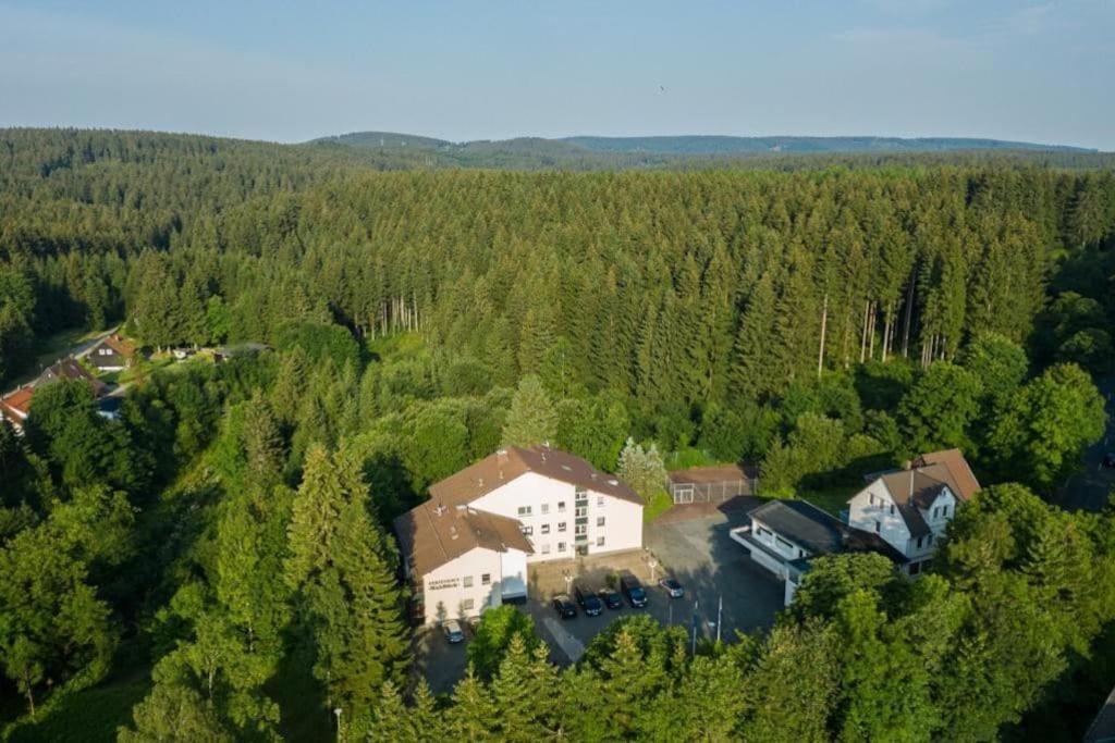 Waldblick *
