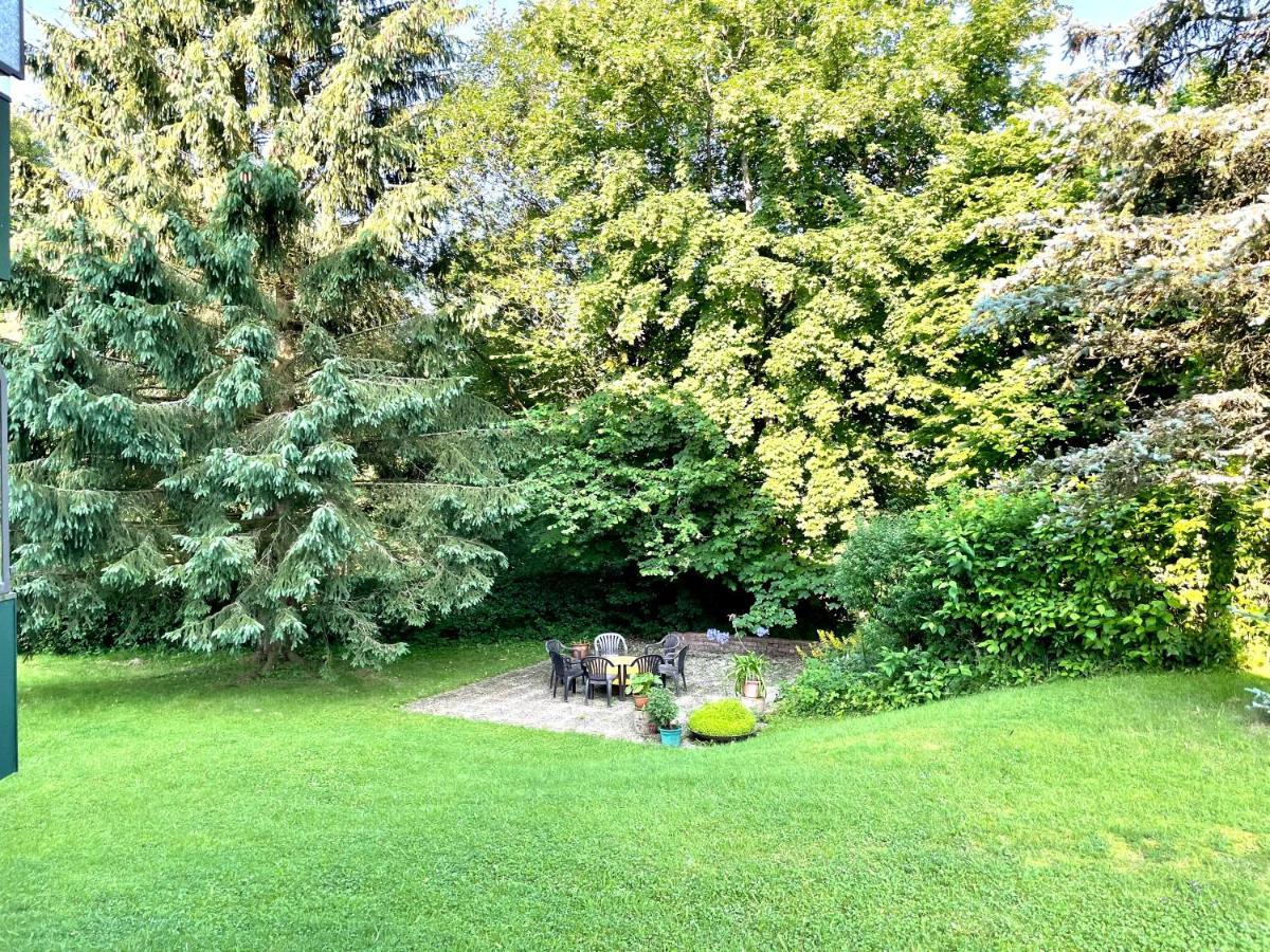 Waldblick Goslar