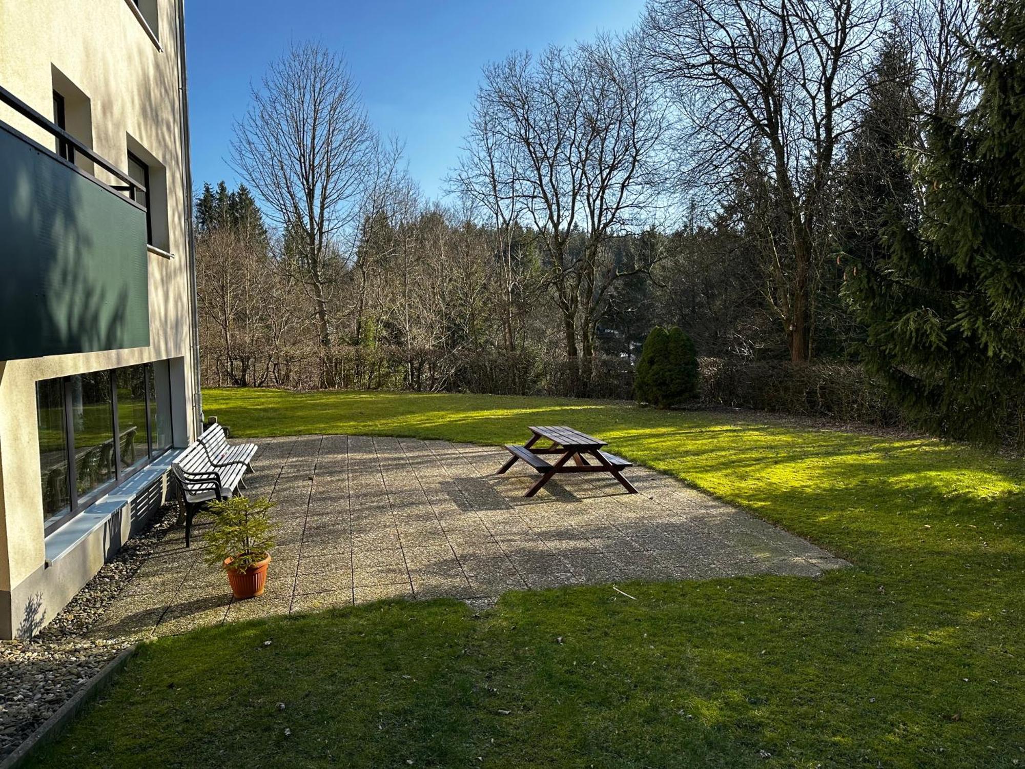Waldblick Goslar